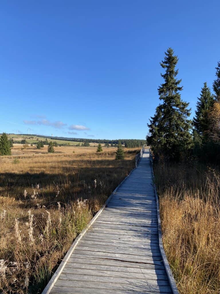 Boží dar, to není jen Ježíškova stezka