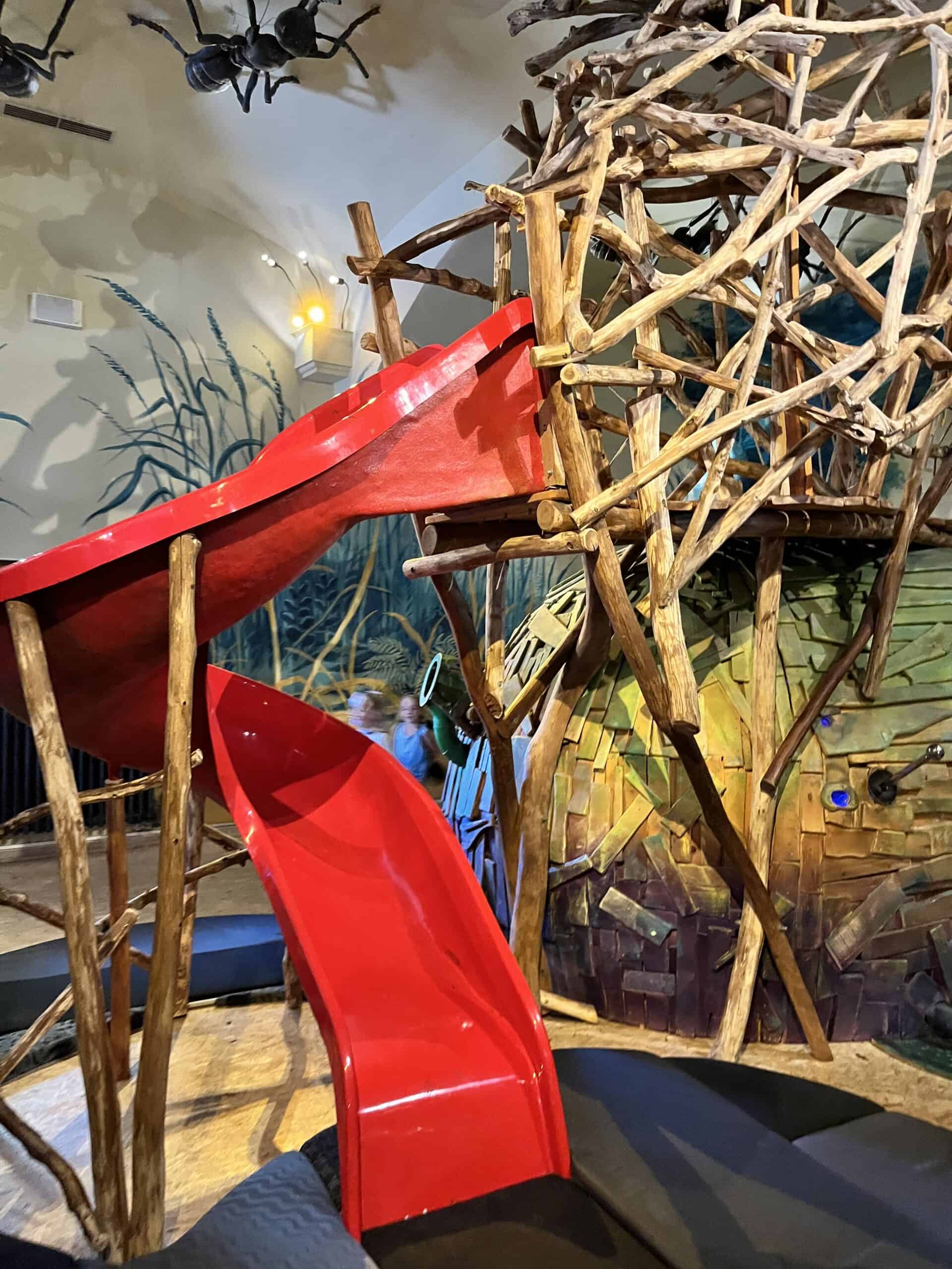 Sladsovna9 Mraveniště