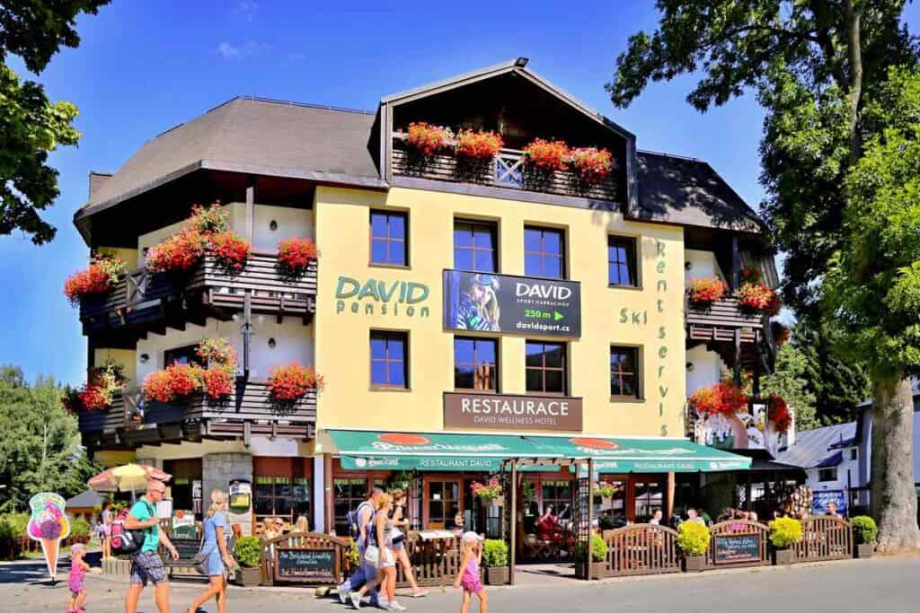 Wellness hotel David - Mamikam.cz