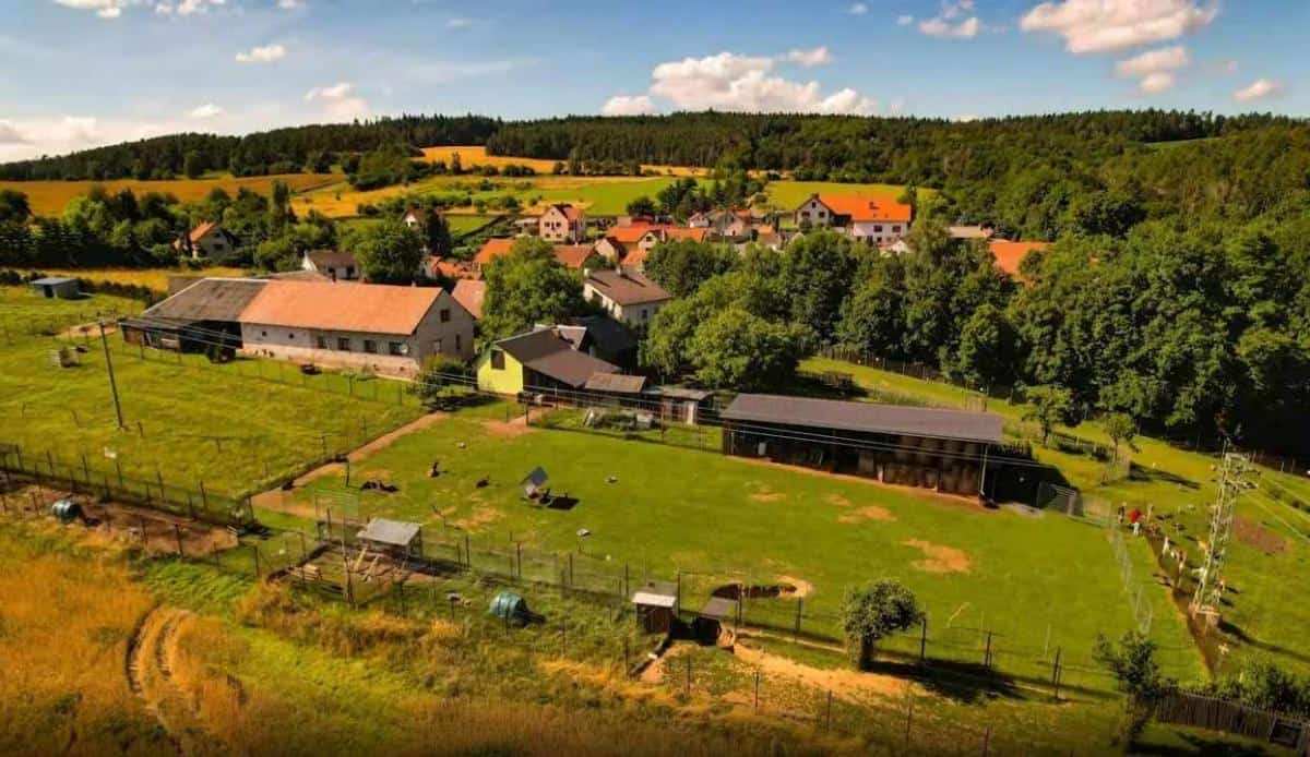 Jelení_Homole_areál1