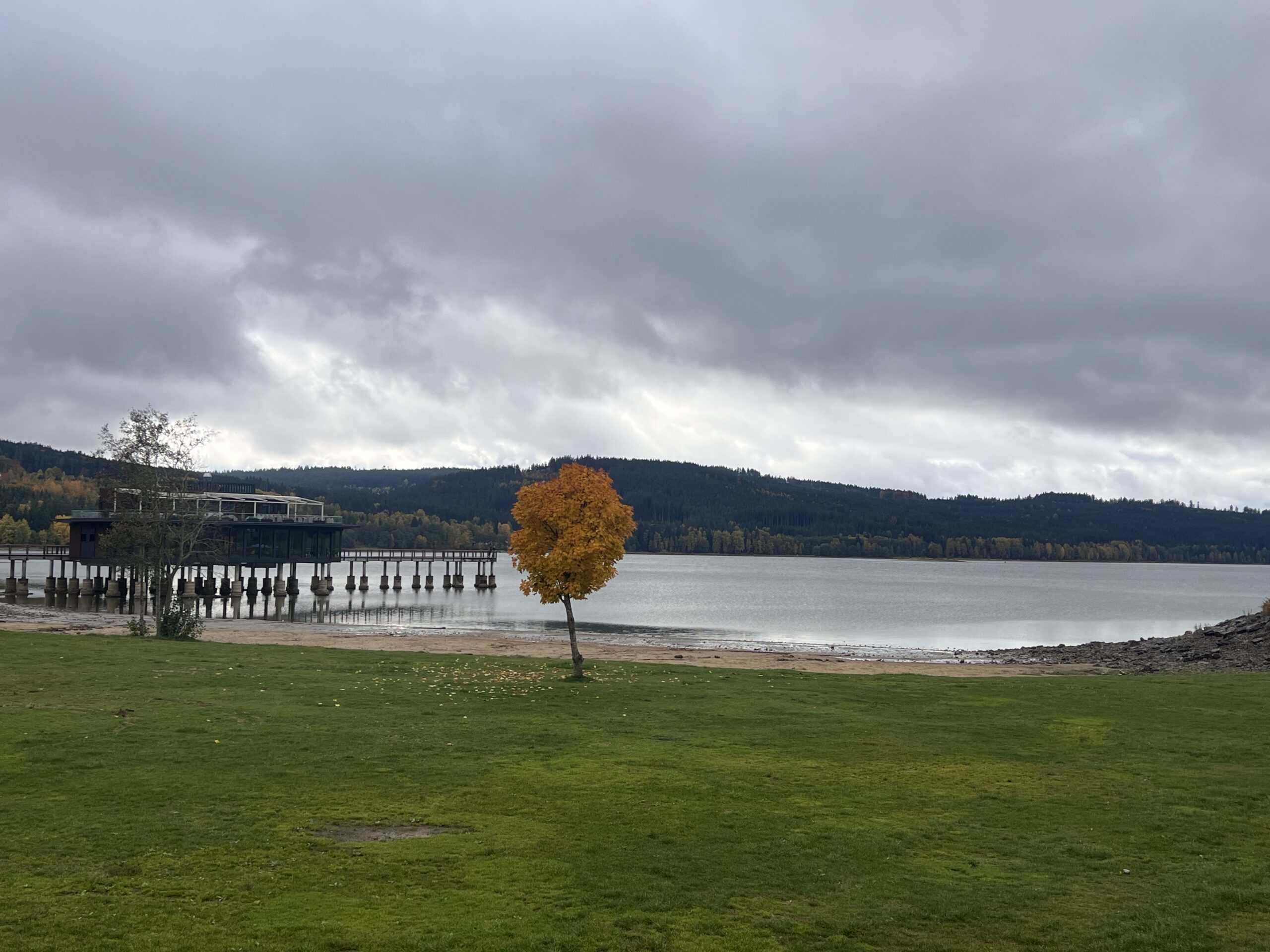 Lipno s dětmi - Mamikam.cz