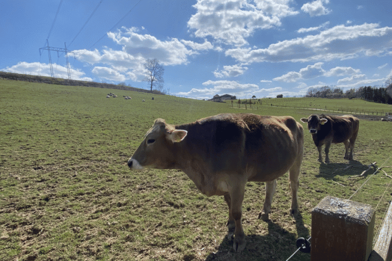 Farmapark Soběhrdy recenze – all inclusive zábava pro děti na celý den