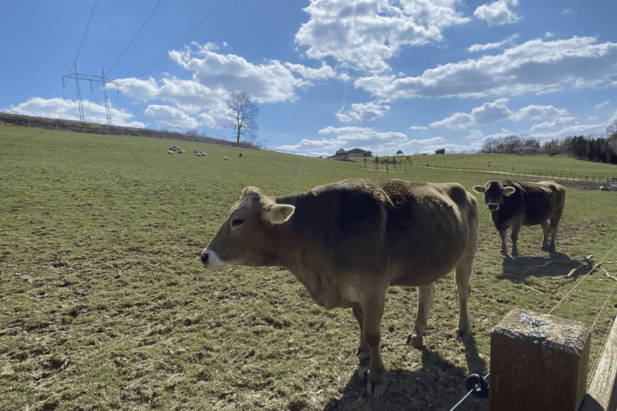Farmapark Soběhrdy - zábavní park pro děti