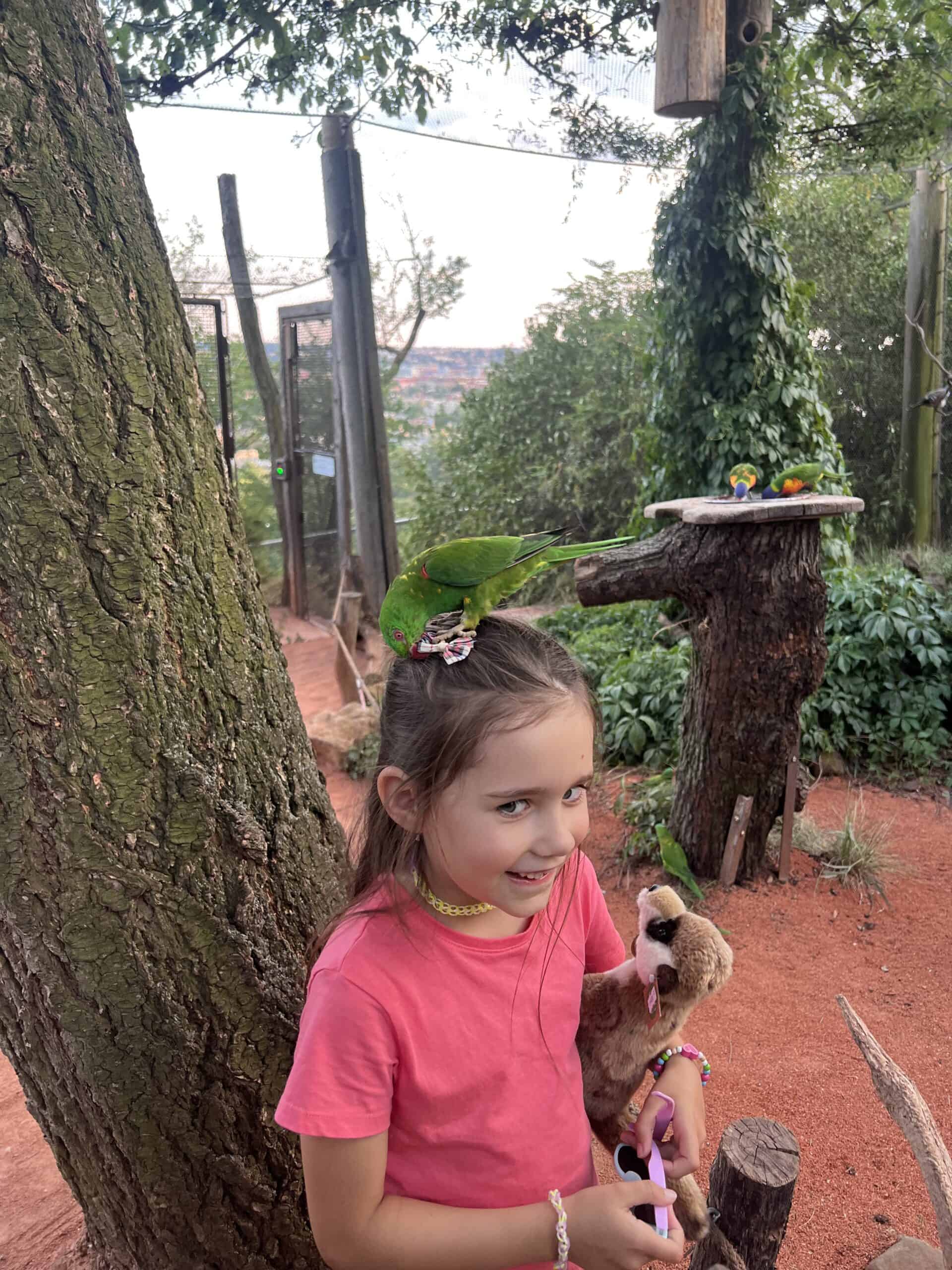 zoo_lori