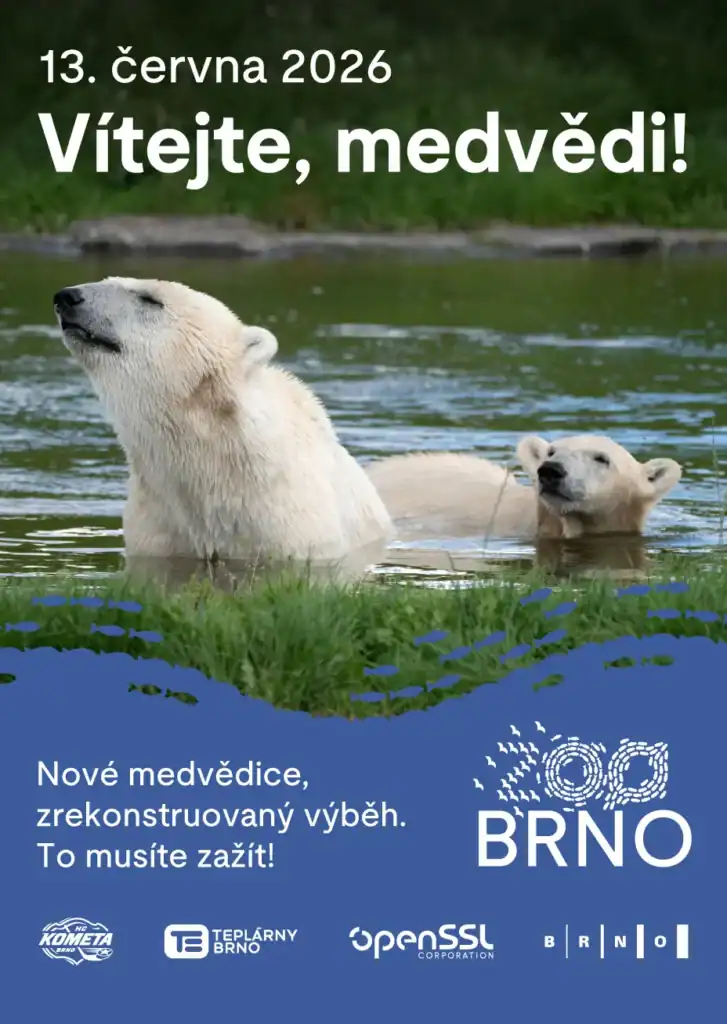 Vítejte, medvědi! Brno