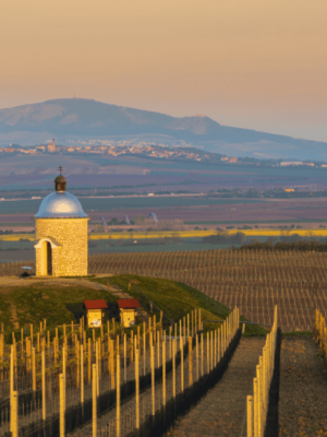 Babyfriendly místa v jihomoravském kraji