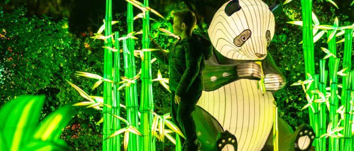 Garden_of_lights_panda