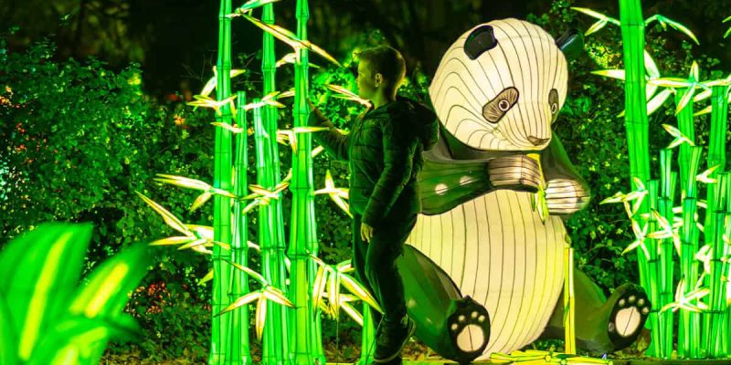 Garden_of_lights_panda