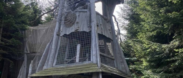 Království lesa Lipno - mamikam.cz