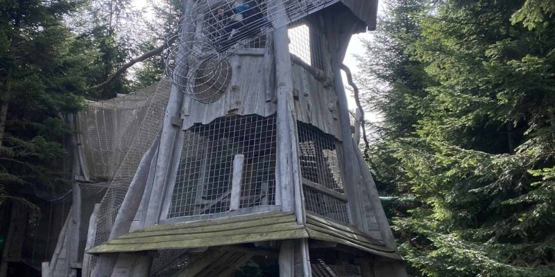 Království lesa Lipno - mamikam.cz