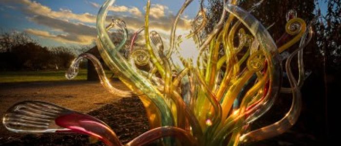 Křišťálová_zahrada_květy1