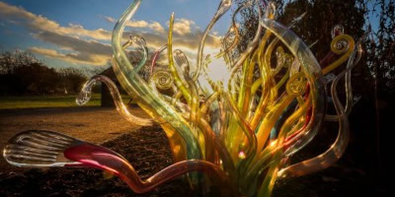 Křišťálová_zahrada_květy1