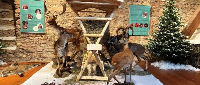 Mělník_priroda-pod-perinou4