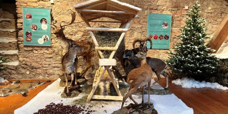 Mělník_priroda-pod-perinou4