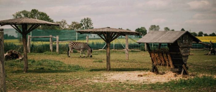 Zoo Stěžery nedaleko Hradce Králové