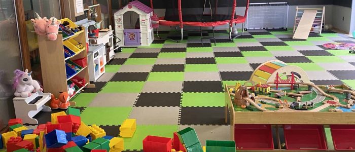 Herna Liška Bistrouška