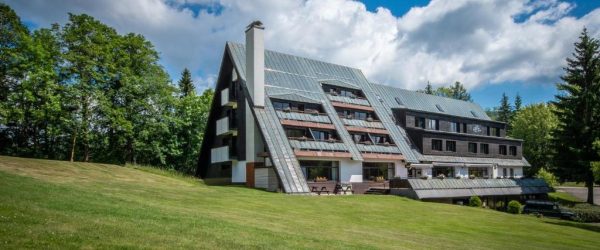 Hotek Šedý vlk - Mamikam.cz