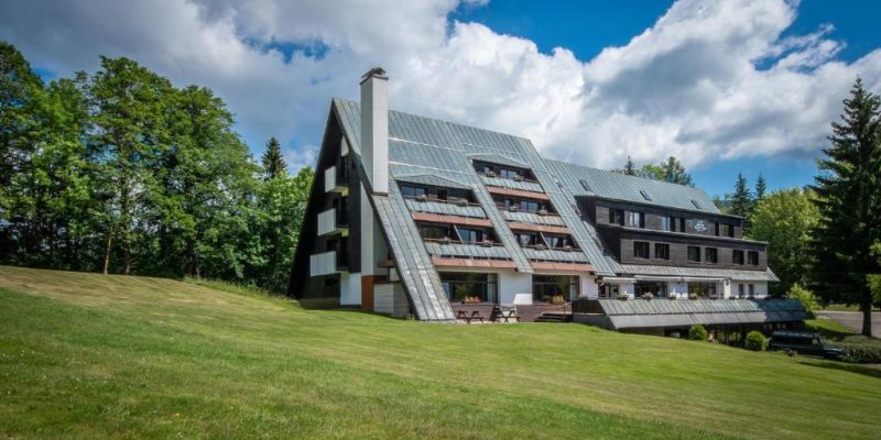 Hotek Šedý vlk - Mamikam.cz